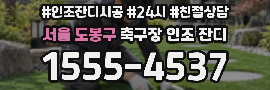 서울 도봉구 축구장 인조 잔디