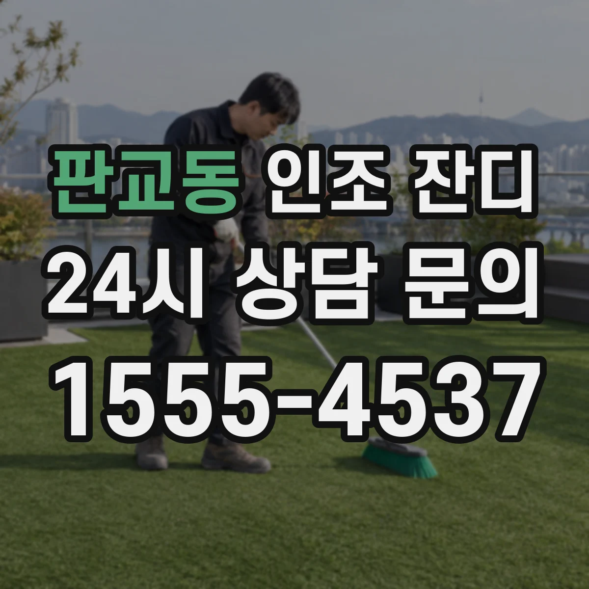 판교동 인조 잔디