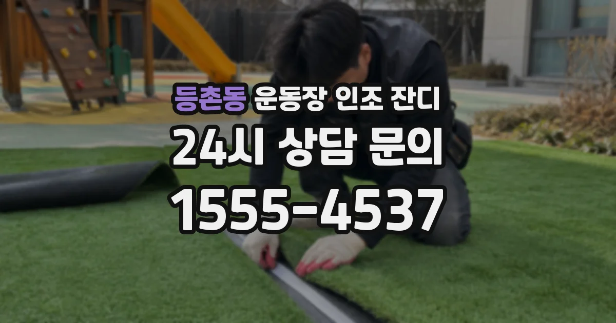 등촌동 운동장 인조 잔디