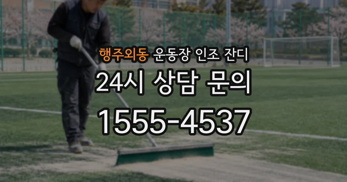 행주외동 운동장 인조 잔디