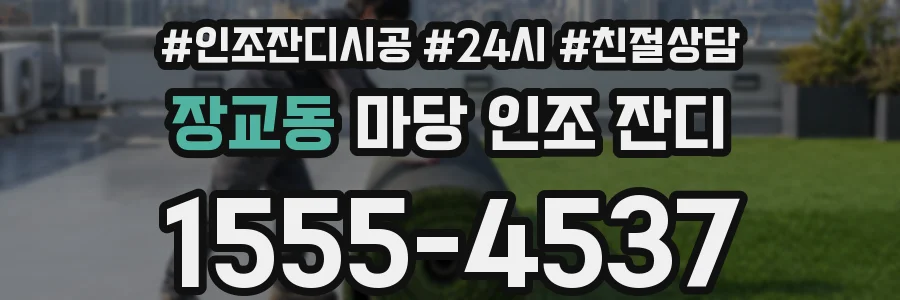 장교동 마당 인조 잔디