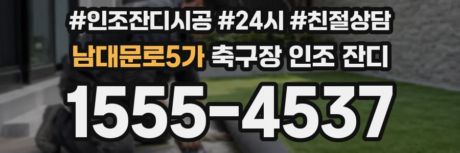 남대문로5가 축구장 인조 잔디