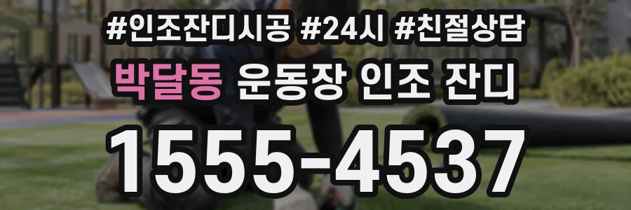 박달동 운동장 인조 잔디