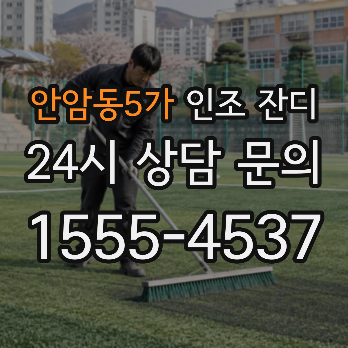 안암동5가 인조 잔디