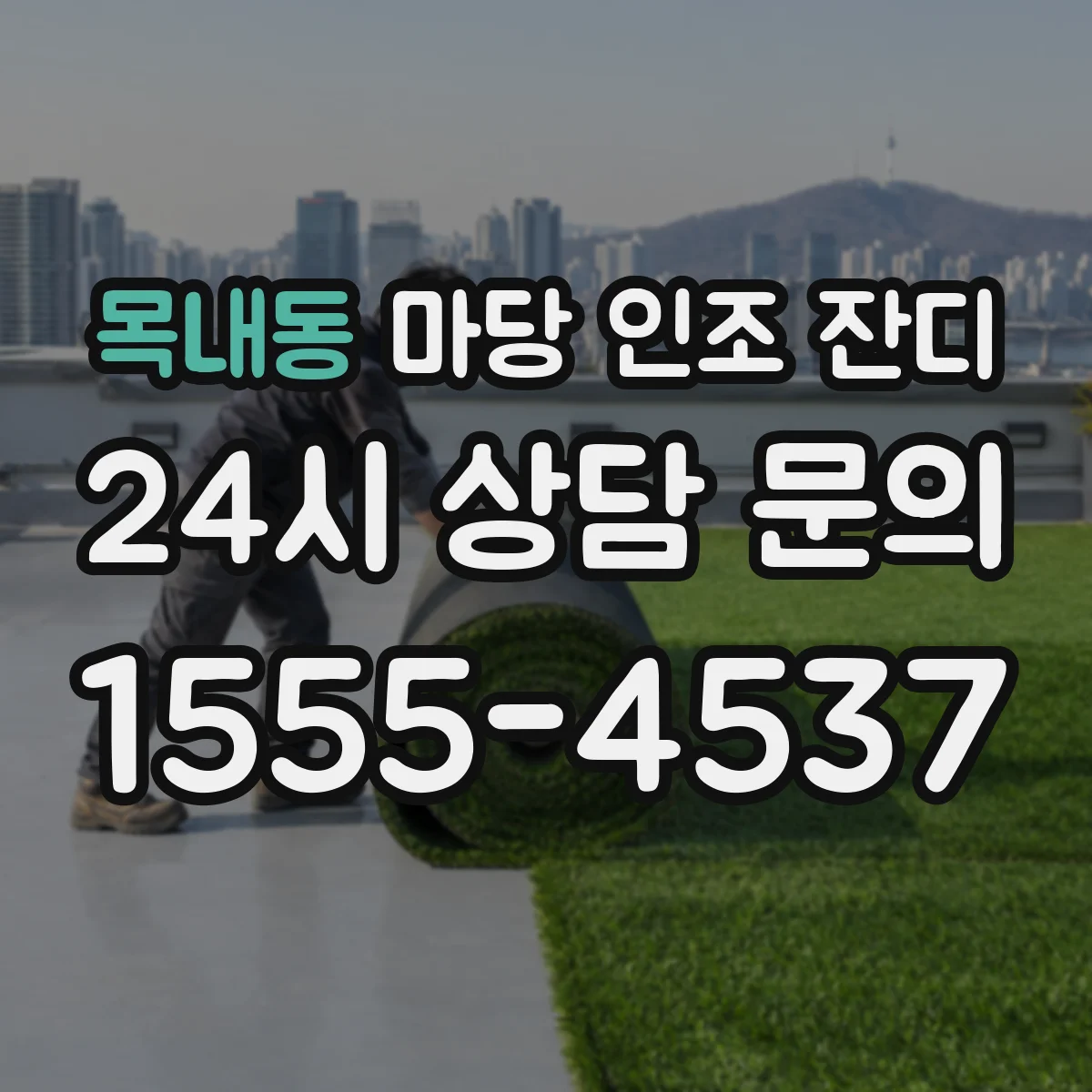 목내동 마당 인조 잔디