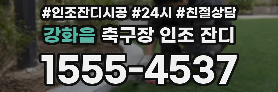 강화읍 축구장 인조 잔디
