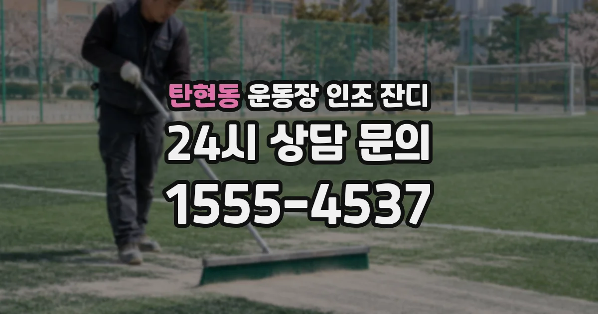탄현동 운동장 인조 잔디