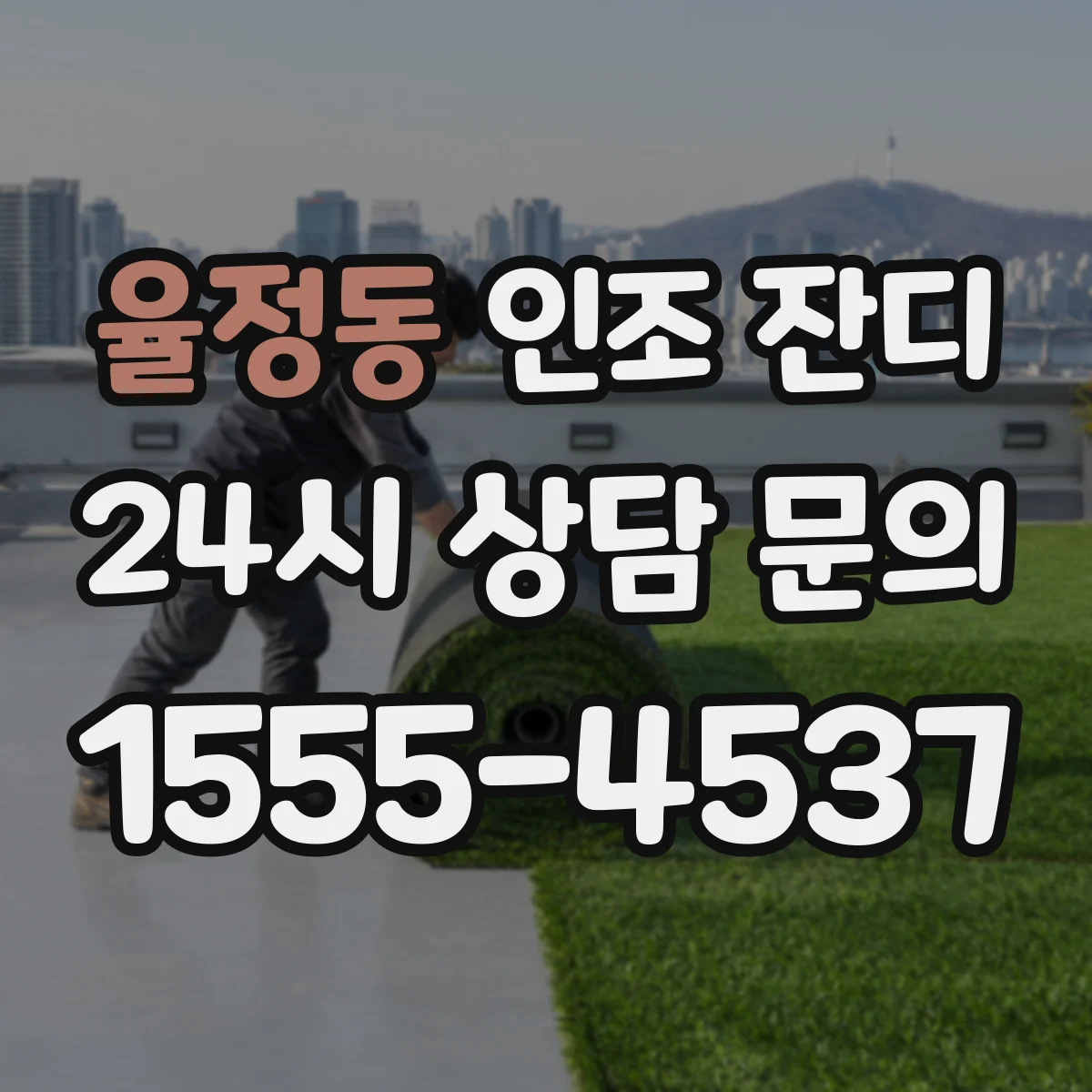 율정동 인조 잔디