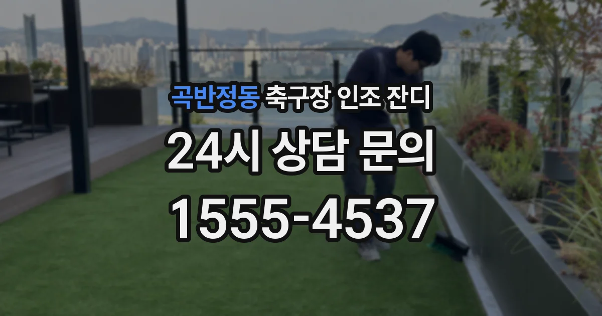 곡반정동 축구장 인조 잔디