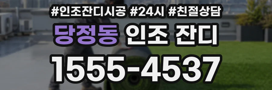 당정동 인조 잔디