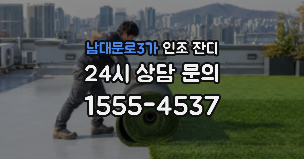 남대문로3가 인조 잔디