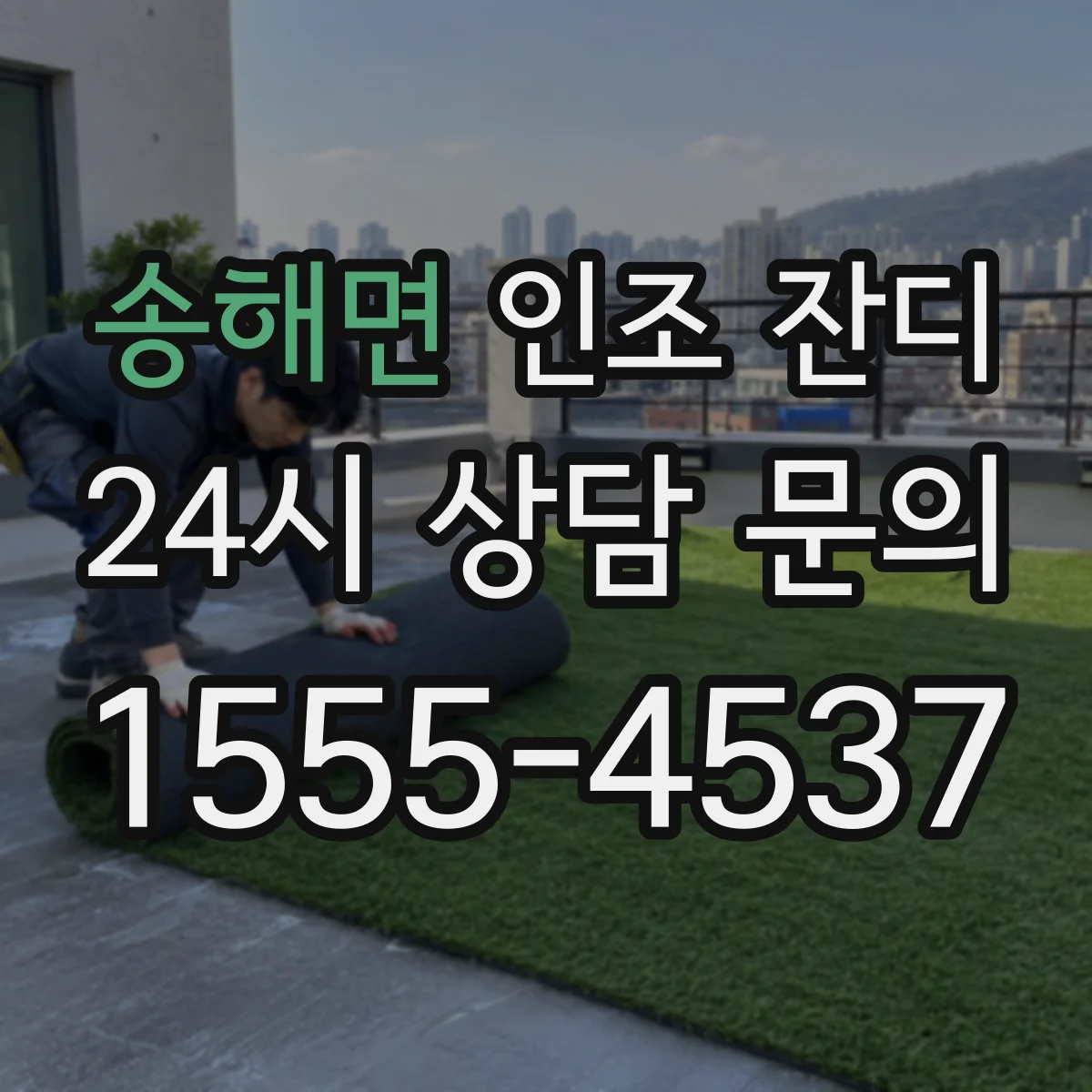 송해면 인조 잔디