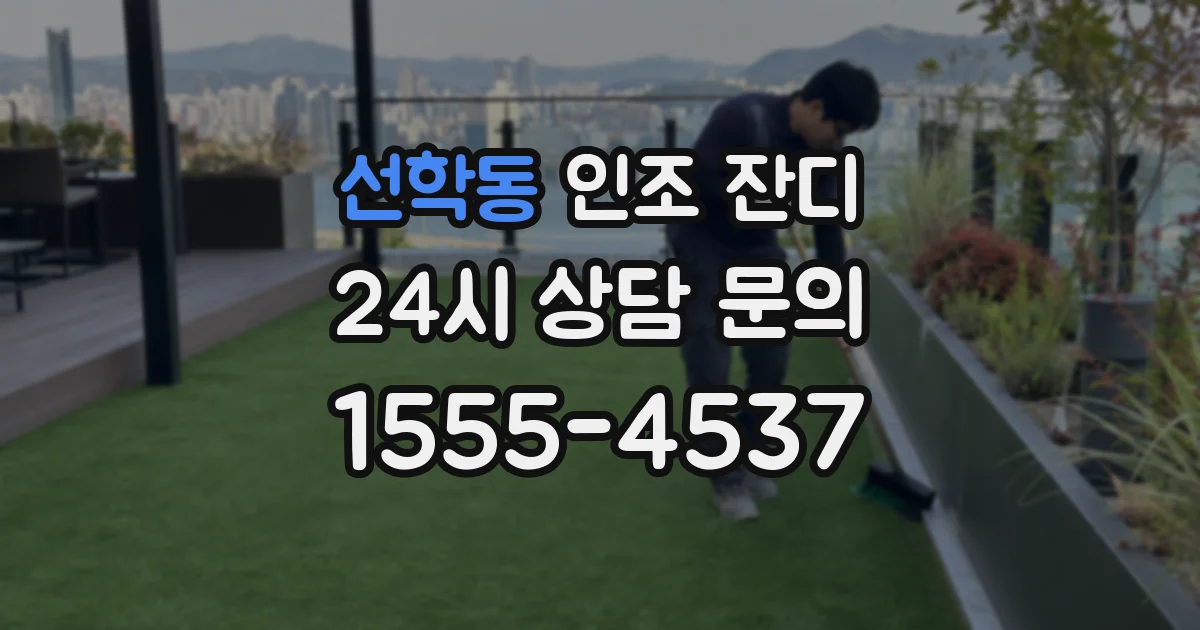 선학동 인조 잔디