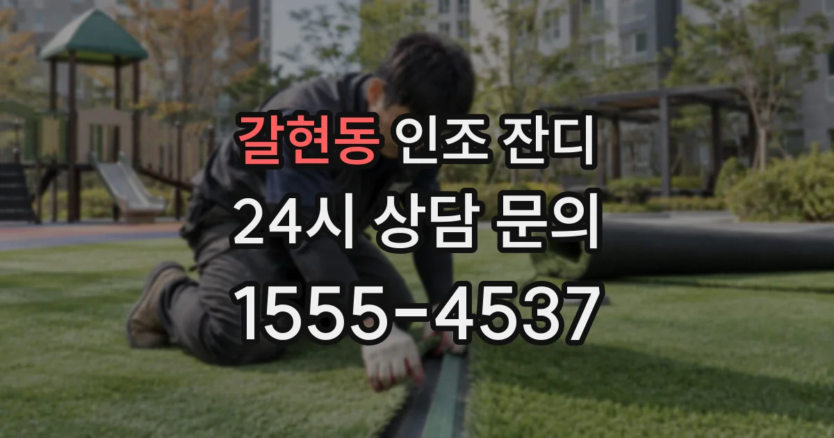 갈현동 인조 잔디