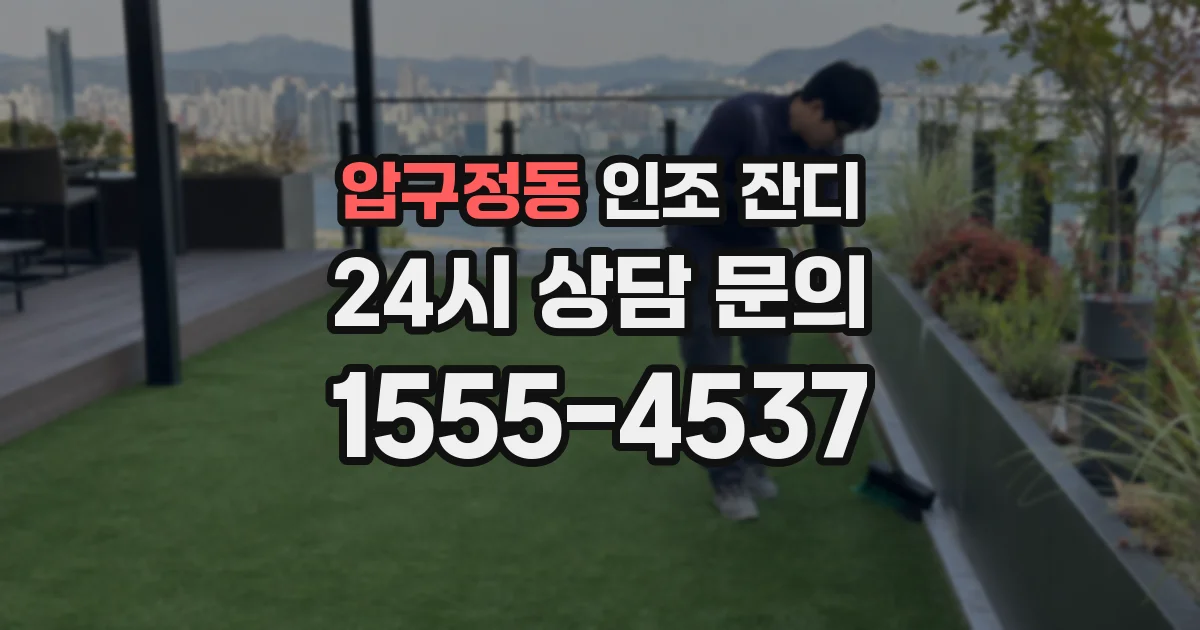 압구정동 인조 잔디