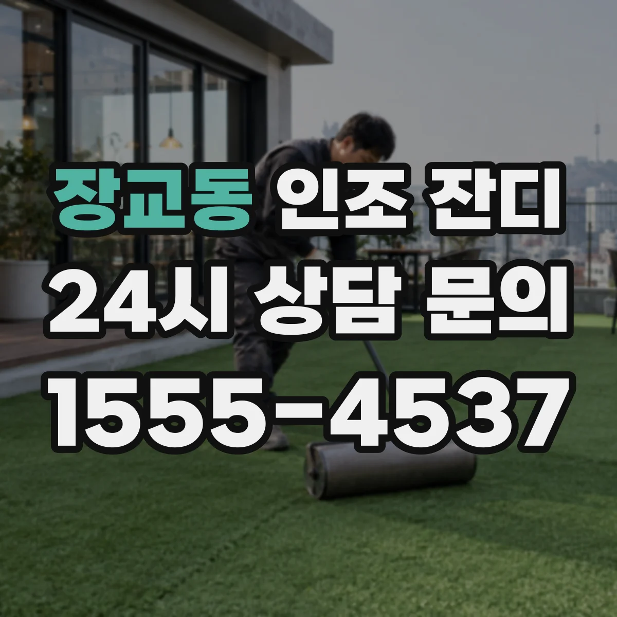 장교동 인조 잔디