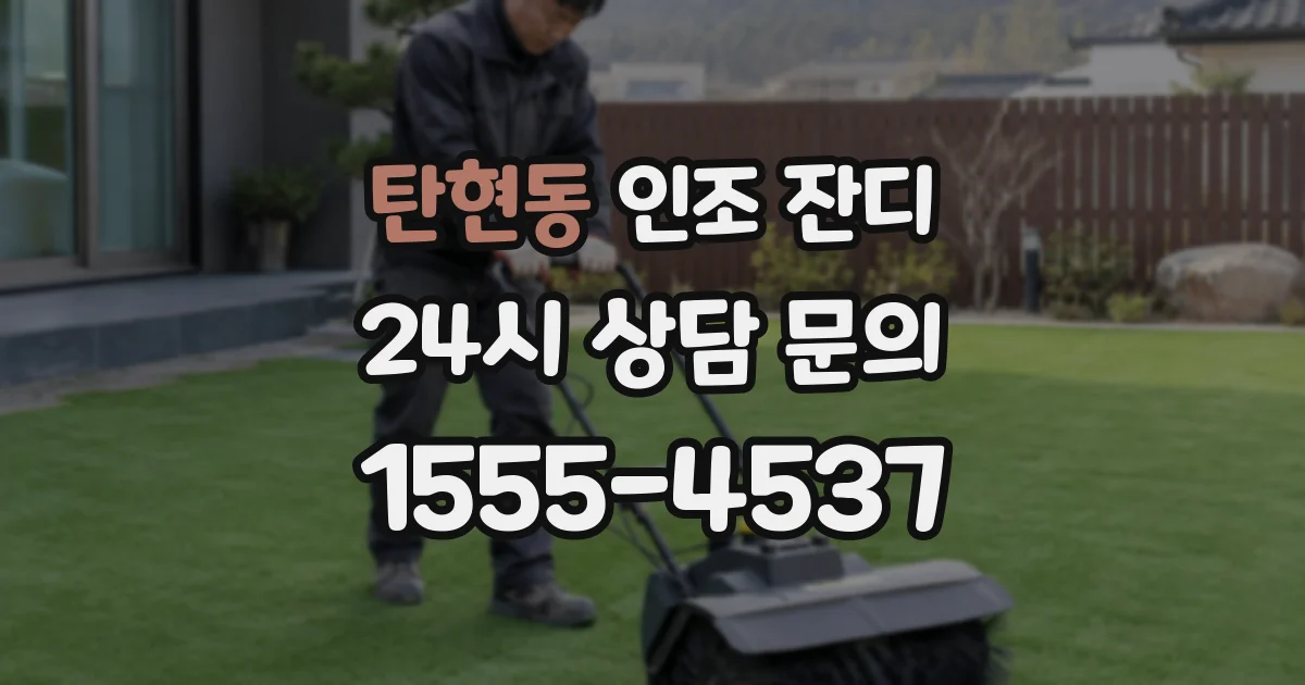 탄현동 인조 잔디