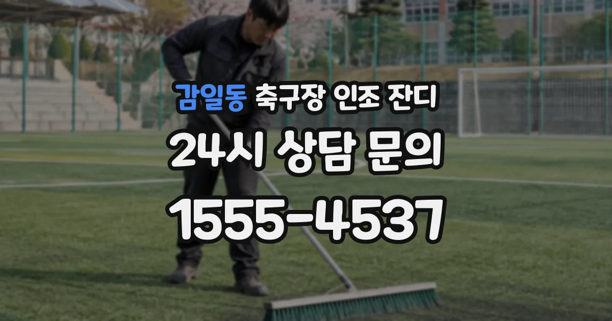 감일동 축구장 인조 잔디