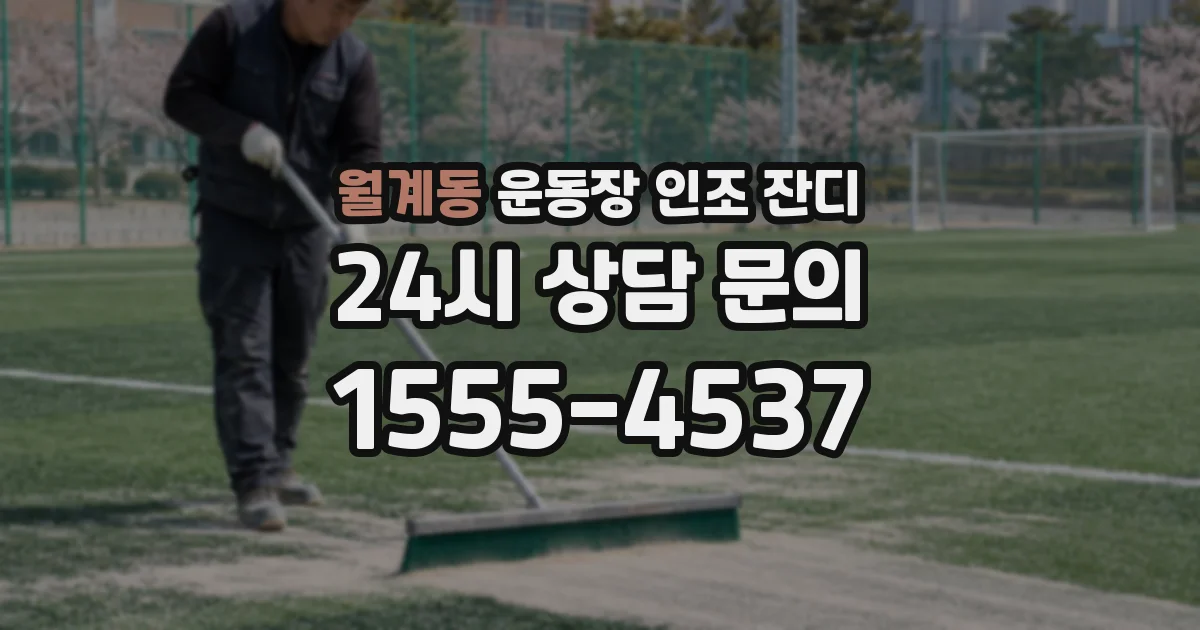 월계동 운동장 인조 잔디