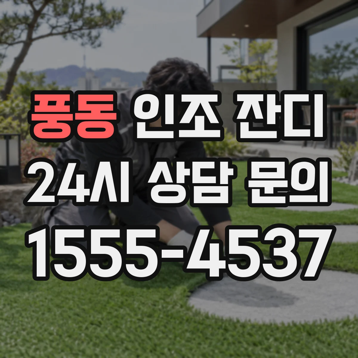 풍동 인조 잔디