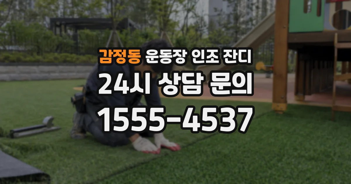 감정동 운동장 인조 잔디