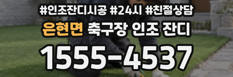 은현면 축구장 인조 잔디