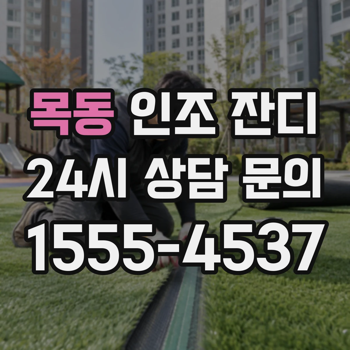 목동 인조 잔디