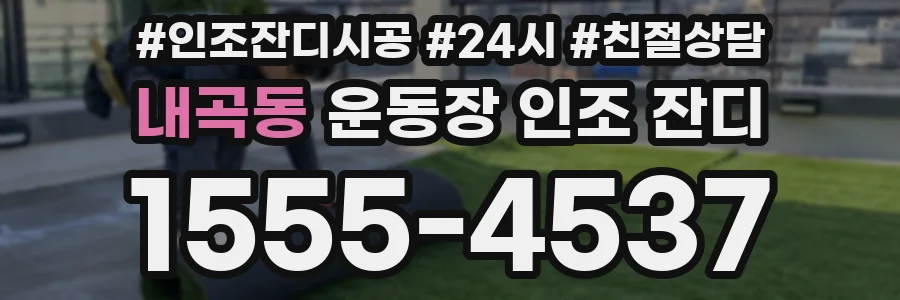 내곡동 운동장 인조 잔디