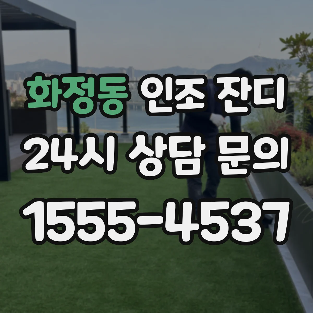 화정동 인조 잔디