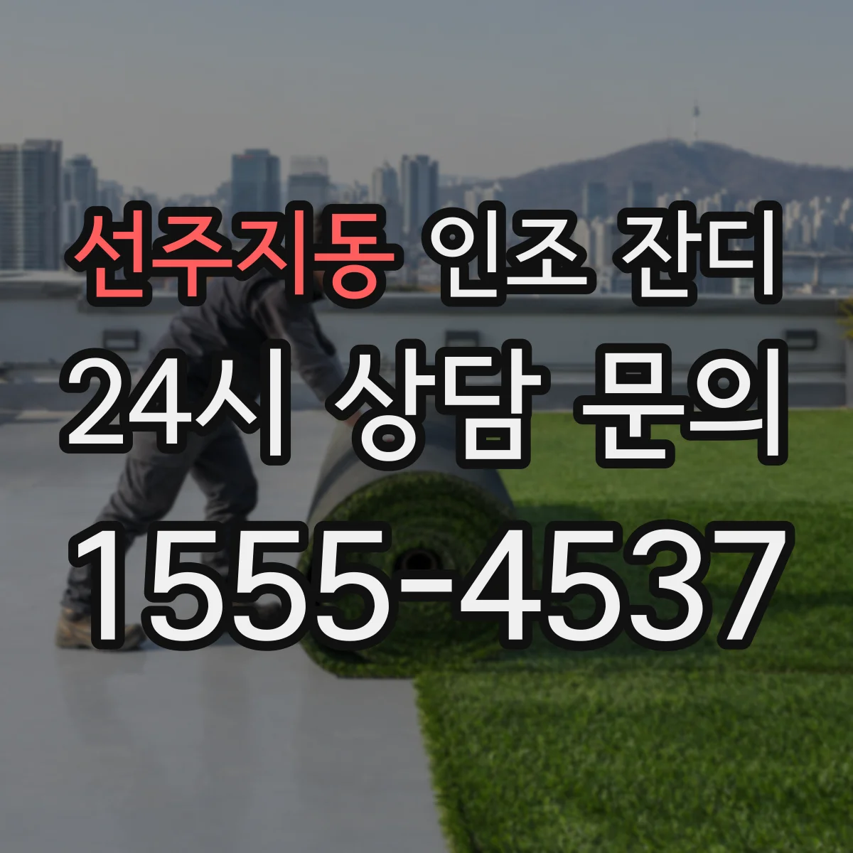선주지동 인조 잔디