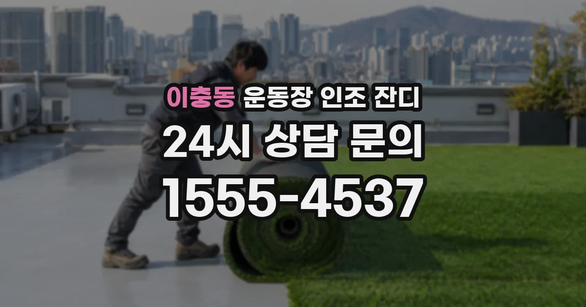 이충동 운동장 인조 잔디