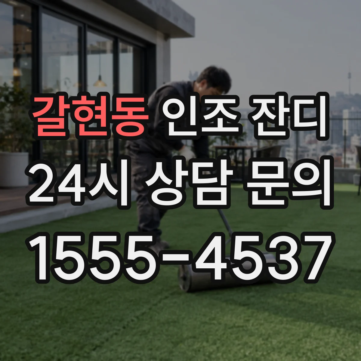 갈현동 인조 잔디