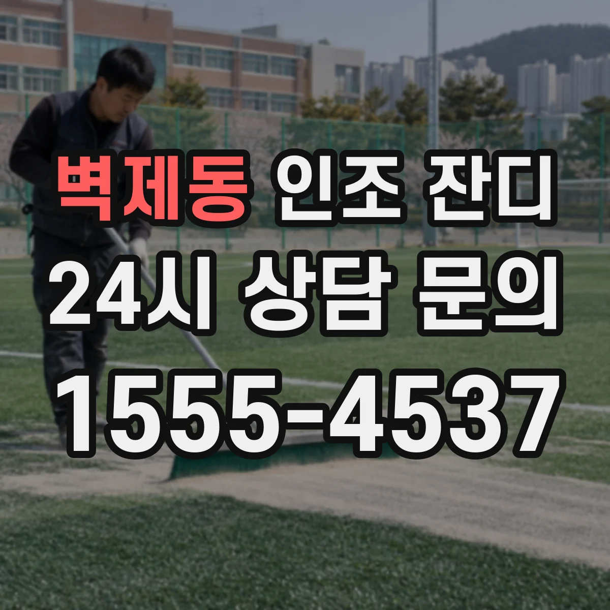 벽제동 인조 잔디
