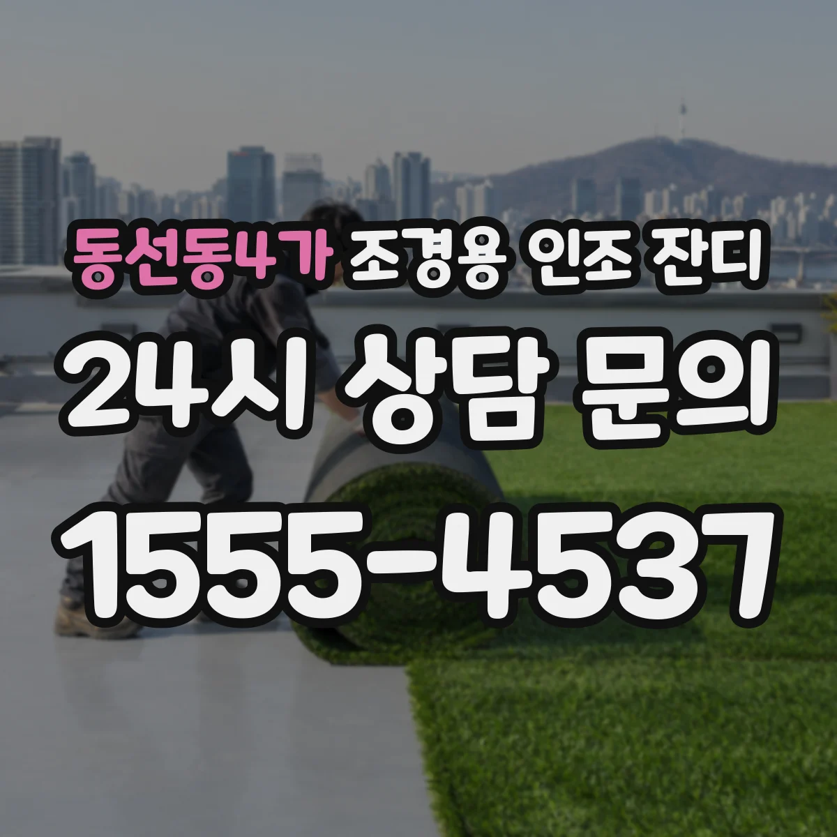 동선동4가 조경용 인조 잔디