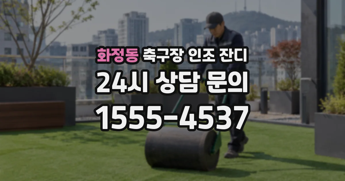 화정동 축구장 인조 잔디