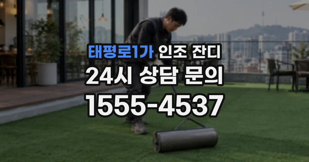 태평로1가 인조 잔디