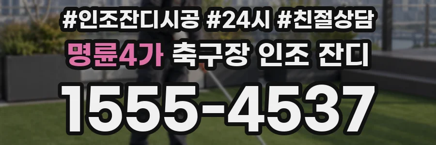 명륜4가 축구장 인조 잔디
