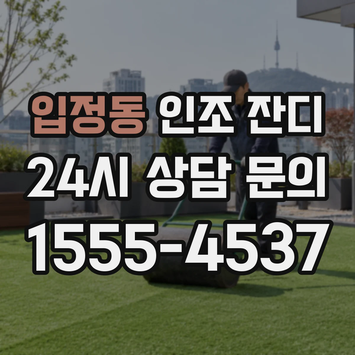 입정동 인조 잔디