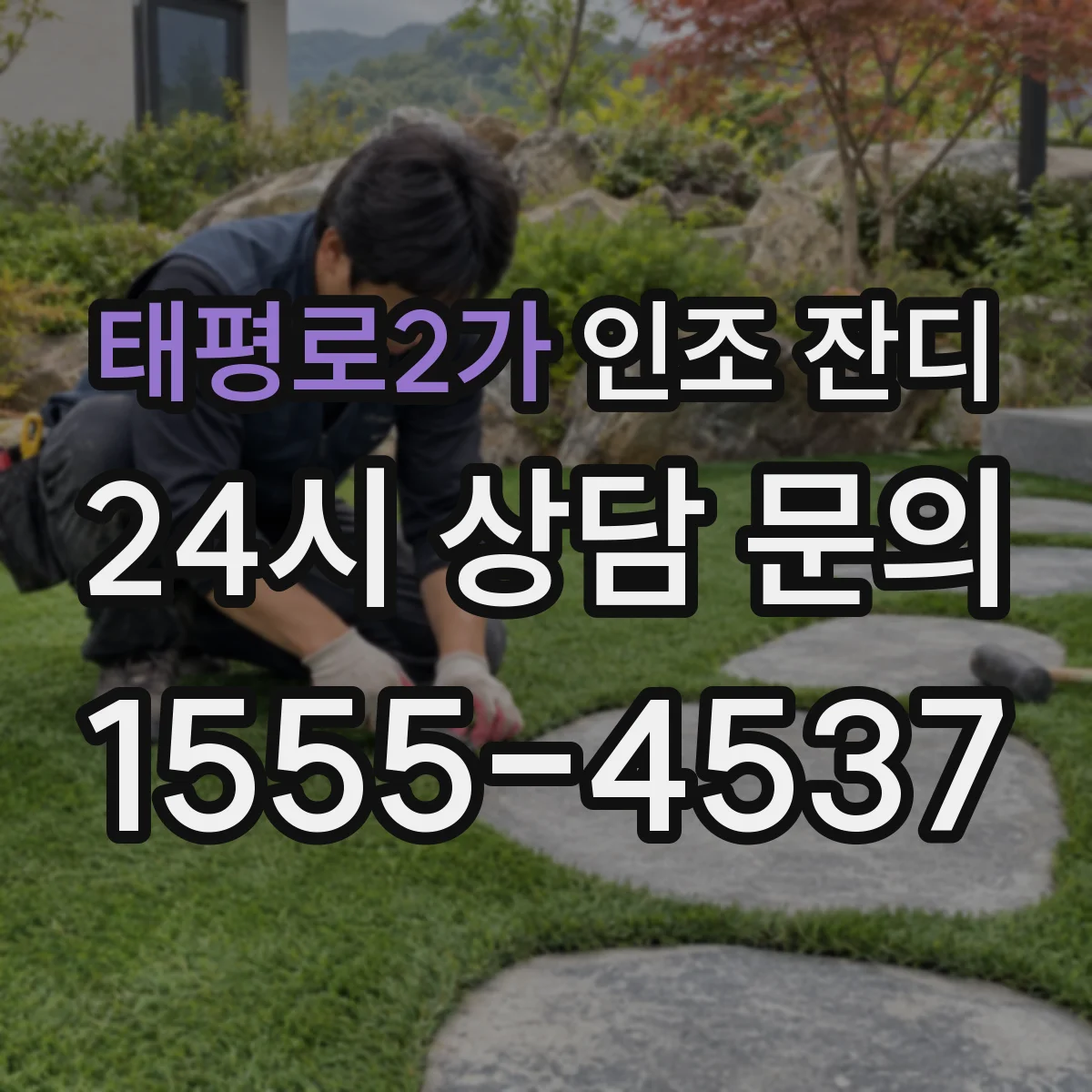 태평로2가 인조 잔디
