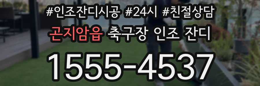 곤지암읍 축구장 인조 잔디