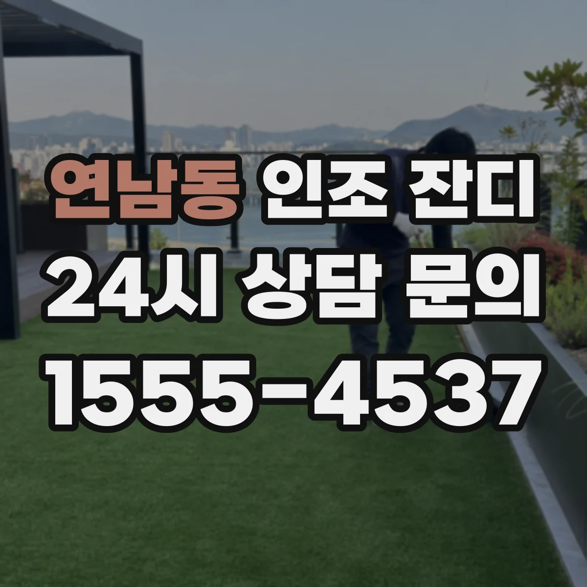 연남동 인조 잔디