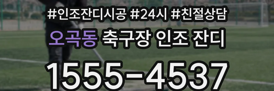 오곡동 축구장 인조 잔디