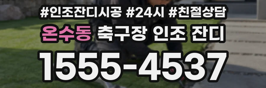 온수동 축구장 인조 잔디