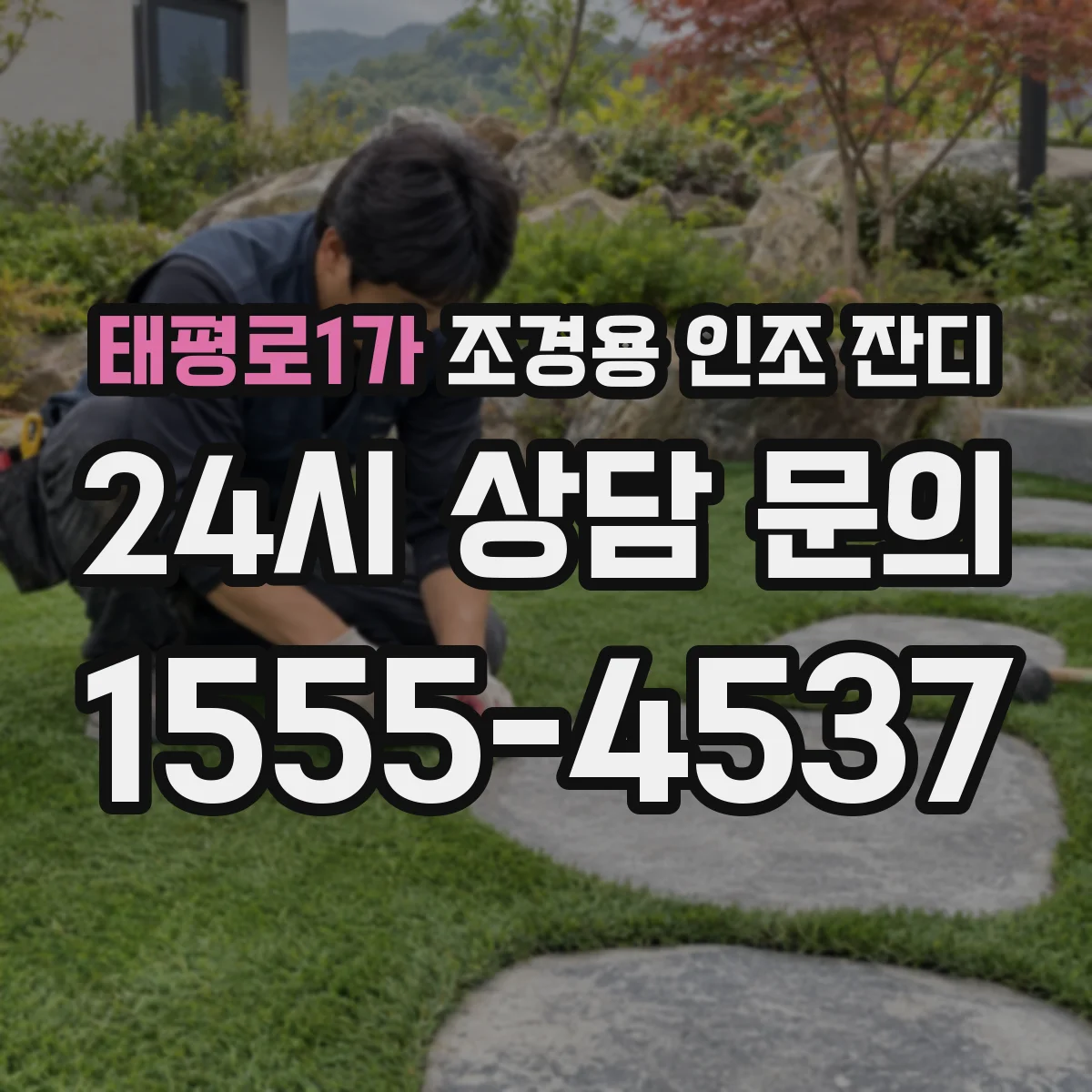 태평로1가 조경용 인조 잔디