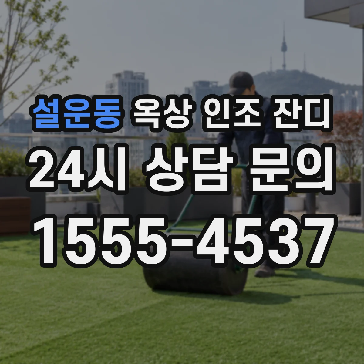 설운동 옥상 인조 잔디