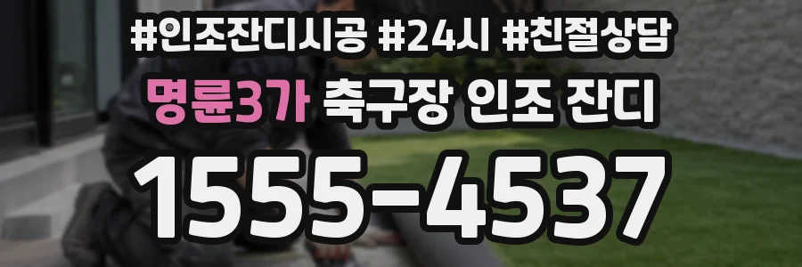 명륜3가 축구장 인조 잔디