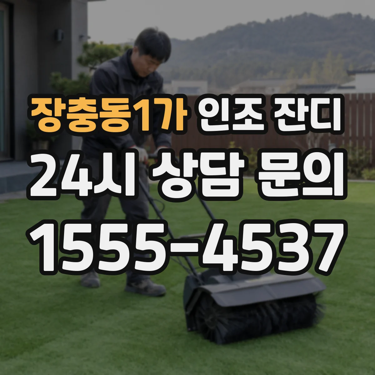 장충동1가 인조 잔디