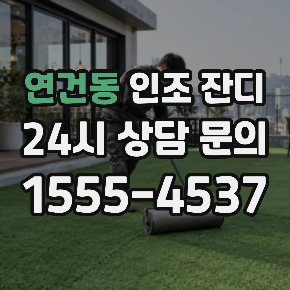 연건동 인조 잔디