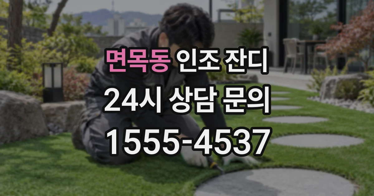 면목동 인조 잔디