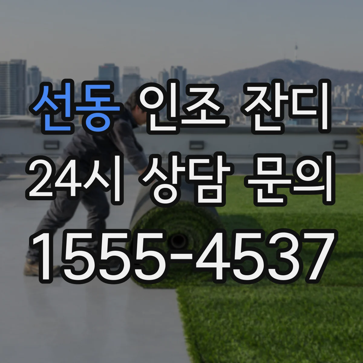 선동 인조 잔디